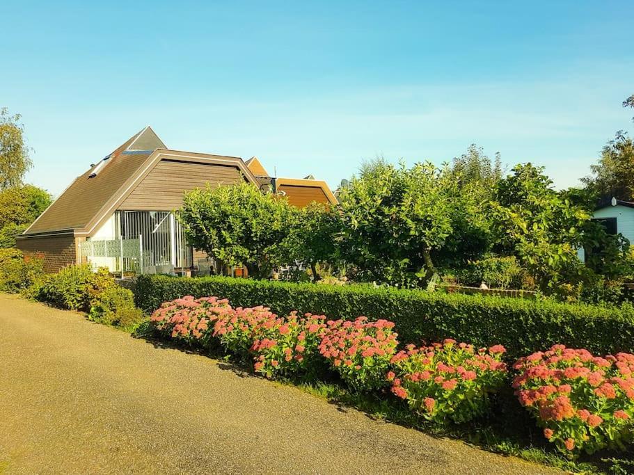 Appartement Lovely House Till 6 P. Near Amsterdam, Sea à Opmeer Extérieur photo