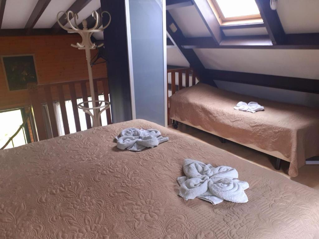 Appartement Lovely House Till 6 P. Near Amsterdam, Sea à Opmeer Extérieur photo